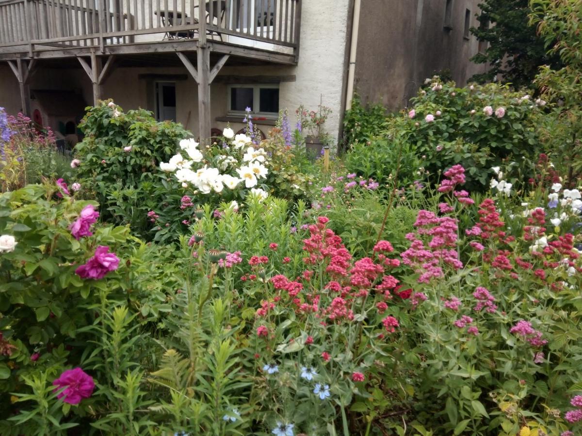 La Grange Aux Hirondelles Bed & Breakfast Athienville ภายนอก รูปภาพ